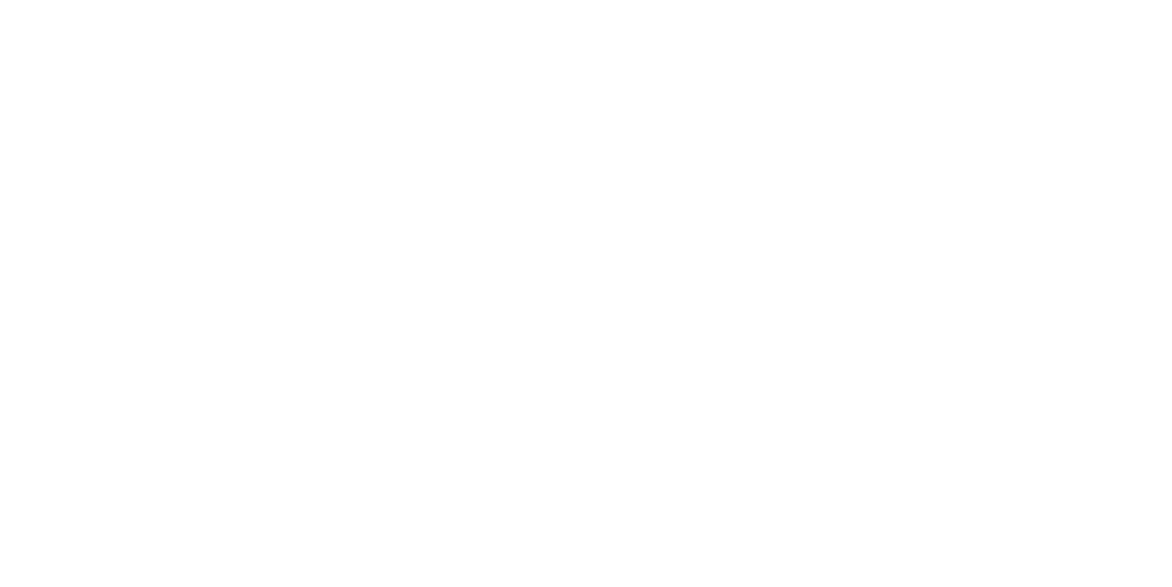 MAGO ALEJANDRO